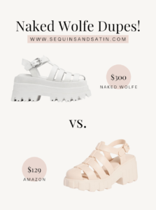Top 15 Best Naked Wolfe Shoes Dupes You Need In You Closet!